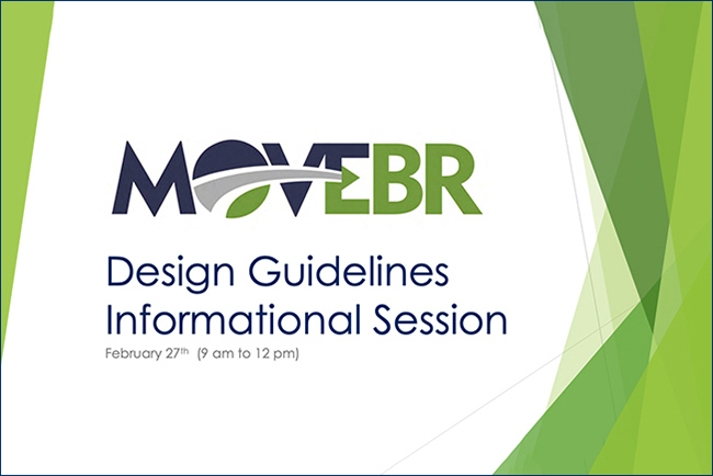 Design Guidelines Informational Session<